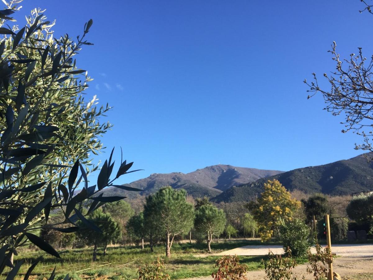 Domaine Pedra Llampada Gite Cerise Villelongue-dels-Monts Bagian luar foto