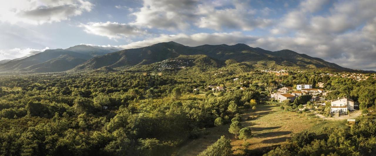 Domaine Pedra Llampada Gite Cerise Villelongue-dels-Monts Bagian luar foto